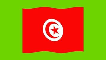 National flag of Tunisia waving video