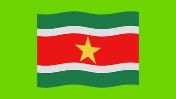 Suriname vlag is golvend groen scherm animatie video