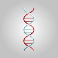 Beautiful medical icon of a scientific DNA molecule, genes on a white background vector