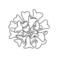 Succulent echeveria in doodle style, vector illustration. Desert flower hand drawn for print and design. Isolated element on a white background. Home plant outline, side view