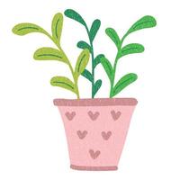 Flower, plant with leaves in pot. Home plant. Flat cartoon minimal style. vector