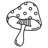 Fly agaric doodle icon vector