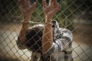 close-up photo of hands in prison steel mesh handle Handles the steel mesh cage, lacks independence.