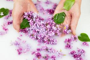 Young hands hold lilac petals in a milk bath. photo