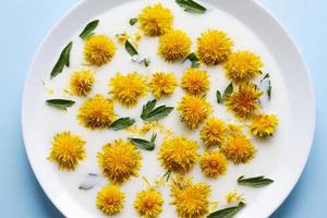 las flores amarillas del diente de león flotan en la leche blanca foto