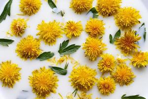 primer plano de flores amarillas de diente de león flotan en leche blanca. foto