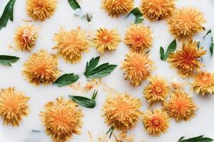 Closeup of yellow dandelion flowers float in white milk. photo