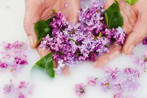 Young hands hold lilac petals in a milk bath. photo