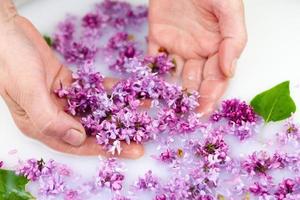 Young hands hold lilac petals in a milk bath. photo