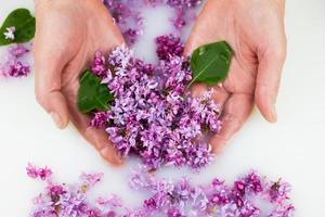 Young hands hold lilac petals in a milk bath. photo