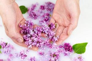 Young hands hold lilac petals in a milk bath. photo