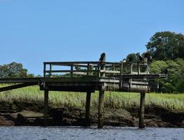 Landscape with a Fishing Pier over a Marsh photo