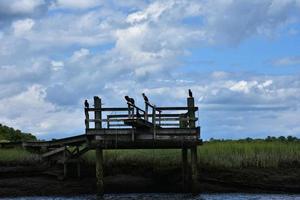 Scenic View of a Dock with a Tidal Marsh photo