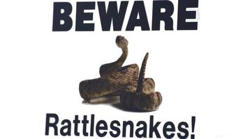 advertencia de peligro cuidado con las serpientes de cascabel en un cartel foto
