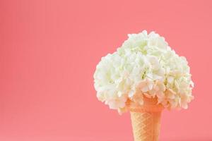 A bouquet of white flowers in an ice cream cone on a pink background. photo