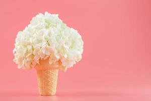 White flowers in a waffle cone of ice cream on a pink background. photo