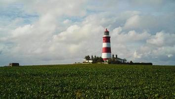 Happisburgh lighthouse in Norfolk photo