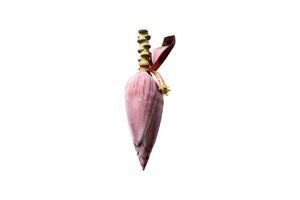 Isolated banana flower with clipping paths. photo