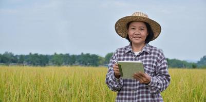 Portrait elderly asian woman wearing hat, holding mobile taplet and standing in rice paddy field, soft and selective focus, concept for smart farmer and happy senior woman in her own lifestlye photo