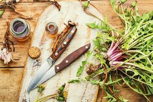 Healing herbs in herbal medicine photo