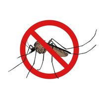 Vector hand drawn engraved isolated illustration of mosquito. Prohibited insect, stop, warning, forbidden, no, ban bug sign. Detailed vintage etching style drawing.