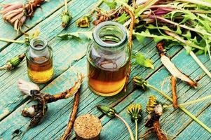 Healing herbs in herbal medicine photo