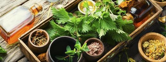 Healing herbs in herbal medicine photo