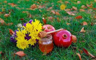 Honey and fresh apples with pomegranate over green bokeh background photo