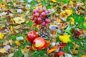 wine grapes glass of Jewish holidays photo