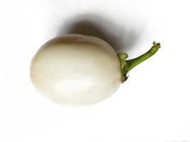 white round eggplant on white background photo