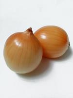 fresh onion on white background photo