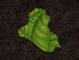 Iraq map made of green leaves on soil background ecology concept photo