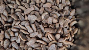 Feed for domestic cat pets, usually used as a snack to eat cats 03 photo