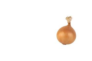 One large yellow onion bulb in the husk, white isolated background. photo