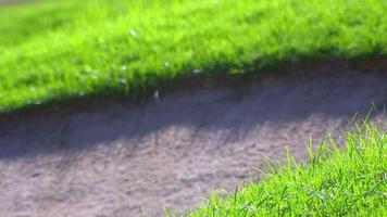 fondo de búnker de arena de campo de golf para el torneo de verano. enfoque selectivo de arena de campo de golf en la hierba en el frente. video