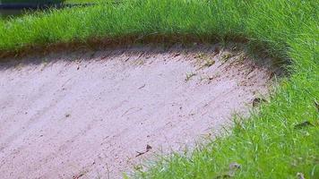 fundo de bunker de areia de campo de golfe para o torneio de verão. video