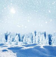 Frozen winter forest with snow covered trees. photo