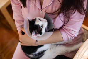 Black-white cat with plastic medical collar in embraces of its owner, top view. photo