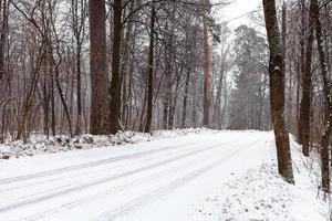 snow-covered country road in forest in winter photo