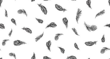 Feathers on white background. Hand drawn sketch style. vector