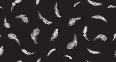 Feathers on white background. Hand drawn sketch style. vector