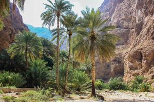 Wadi Shab in Oman photo