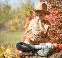 Girl in the hay with pumpkins photo