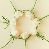 composición de rosas blancas frescas foto