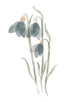 Watercolor trendy flower. Vector illustration for web, app and print. Elegant feminine shape floristic isolated snowdrop flower. Garden, botanical, minimalistic floral element.