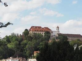 Spielberg castle in Brno photo