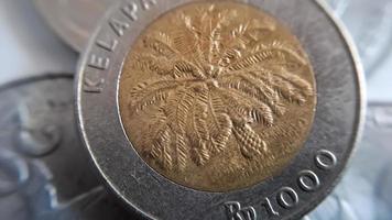 One thousand rupiah coin from Indonesia with the palm oil symbol isolated on white background, Diterbitkan oleh bank Indonesia pada tahun 1993 photo