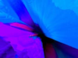 Liquid Color Fusion blue pink colorful abstract background photo