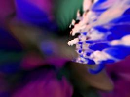 Liquid Color Fusion blue pink colorful abstract background photo