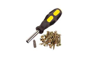 Screws and screwdriver isolated photo